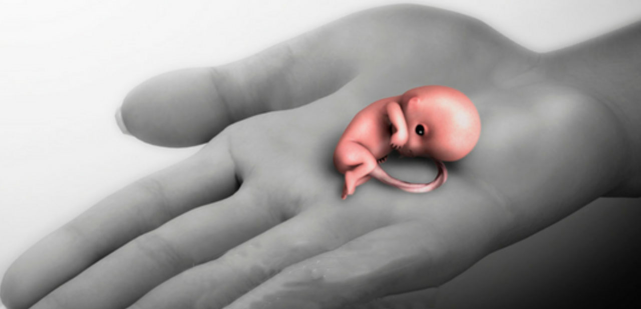 Contraceptive Services