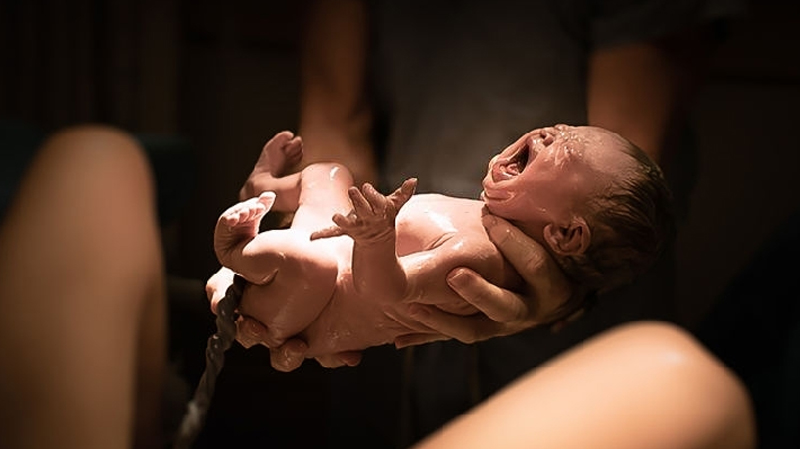 Contraceptive Services