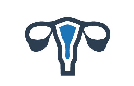 Gynaeoncology Icon